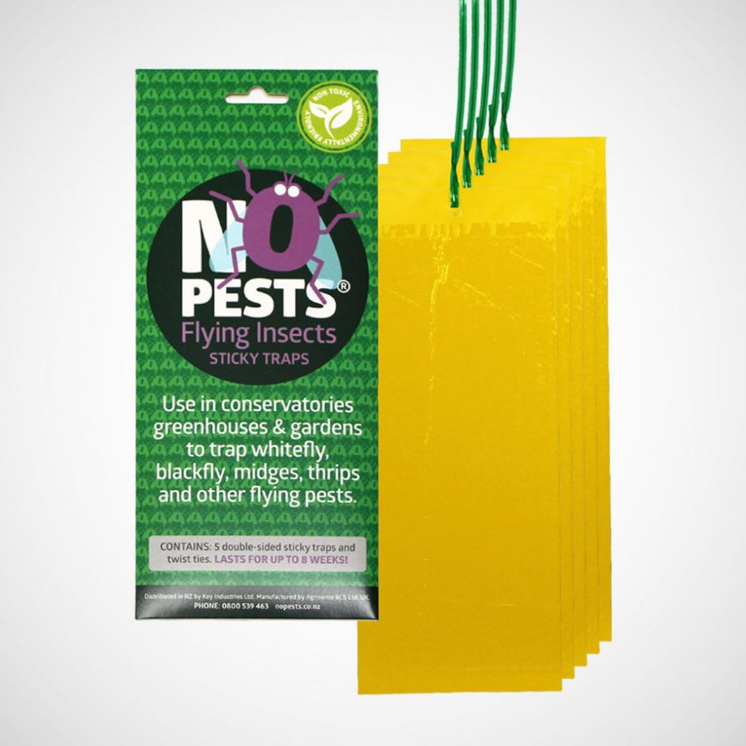 Flying Insects Sticky Traps 5 pack